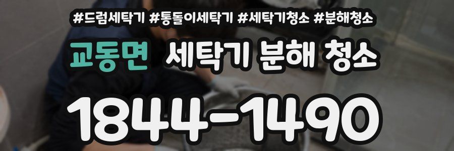 교동면 세탁기 분해 청소