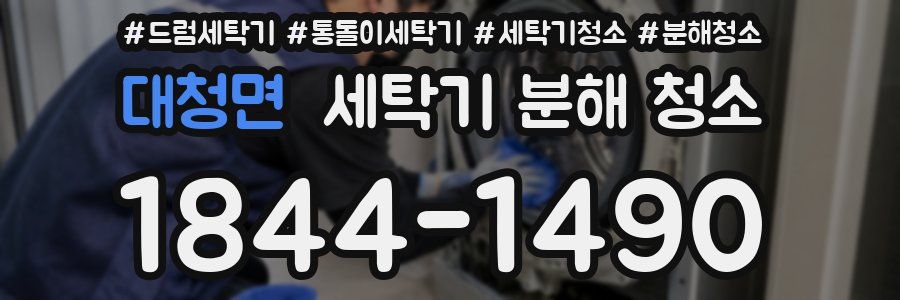 대청면 세탁기 분해 청소