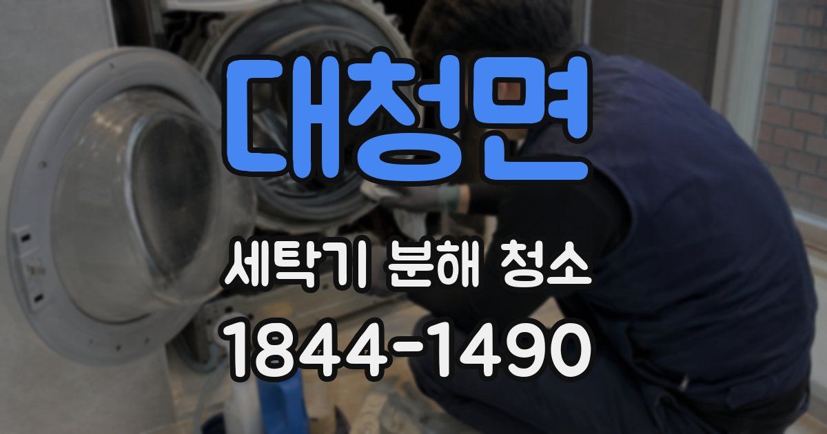 대청면 세탁기 분해 청소