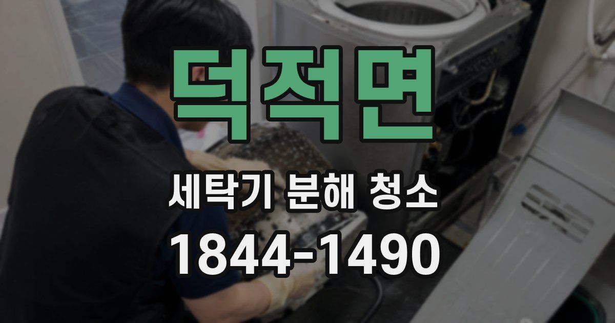 덕적면 세탁기 분해 청소