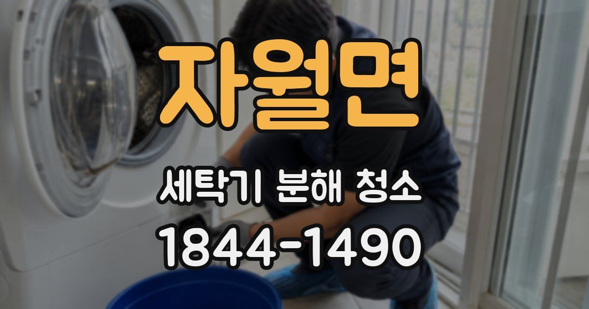 자월면 세탁기 분해 청소
