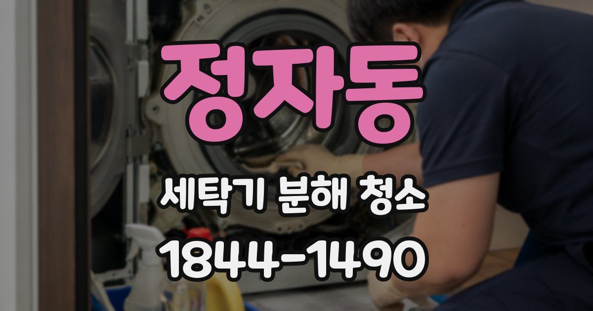 정자동 세탁기 분해 청소
