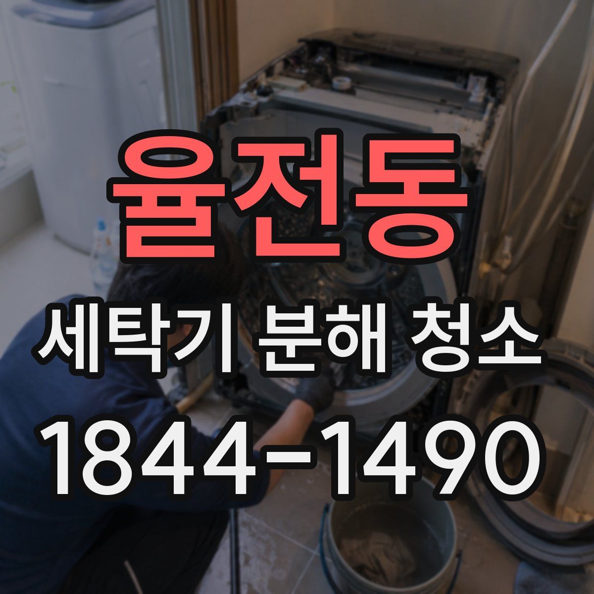 율전동 세탁기 분해 청소