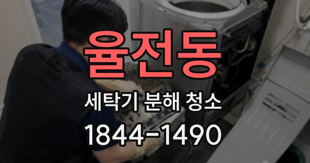 율전동 세탁기 분해 청소