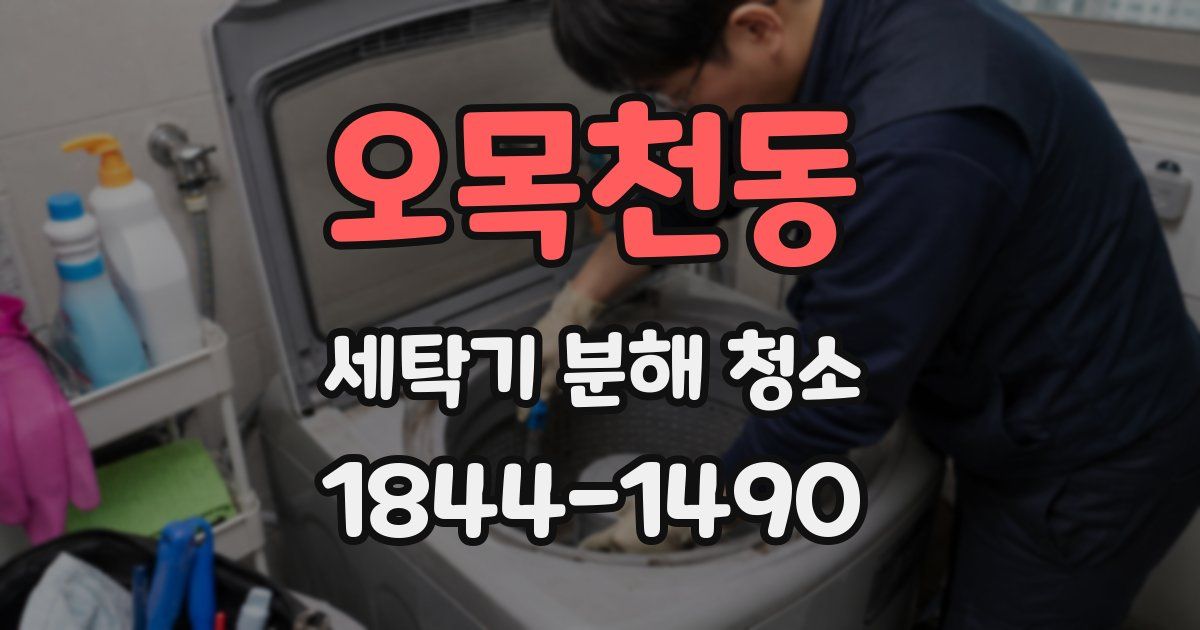 오목천동 세탁기 분해 청소