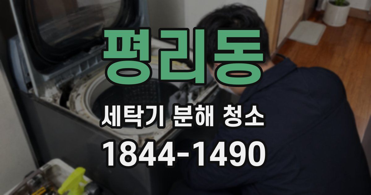 평리동 세탁기 분해 청소