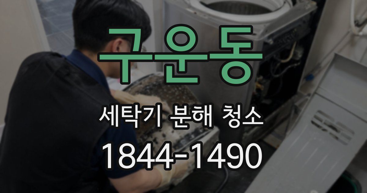 구운동 세탁기 분해 청소