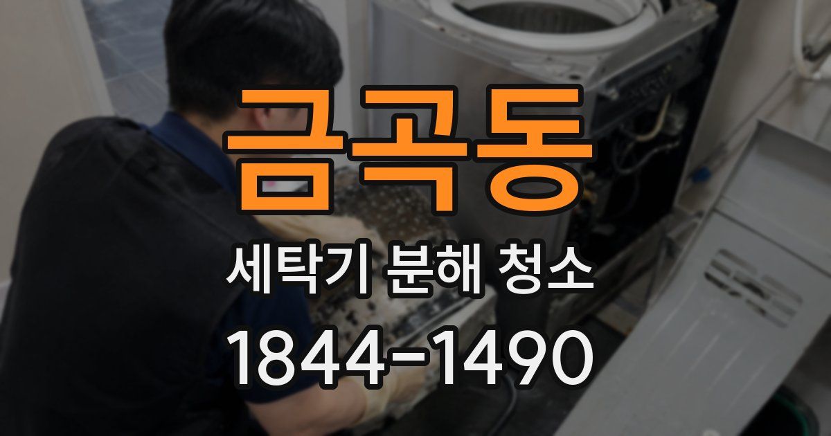 금곡동 세탁기 분해 청소