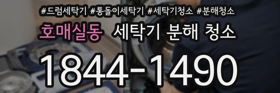 호매실동 세탁기 분해 청소