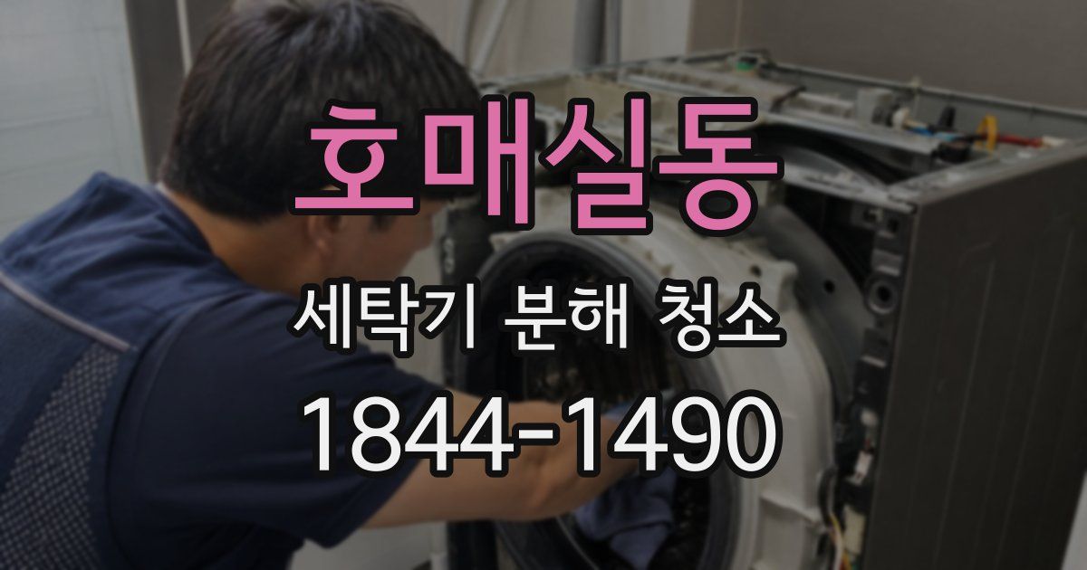 호매실동 세탁기 분해 청소