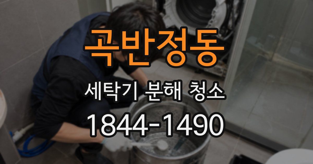 곡반정동 세탁기 분해 청소