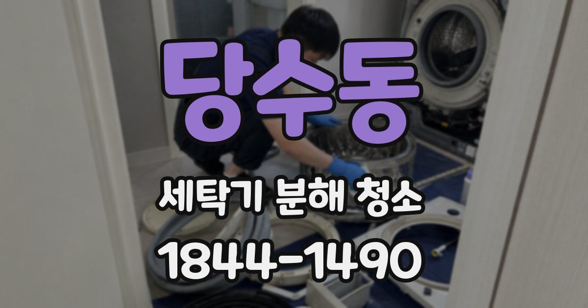 당수동 세탁기 분해 청소
