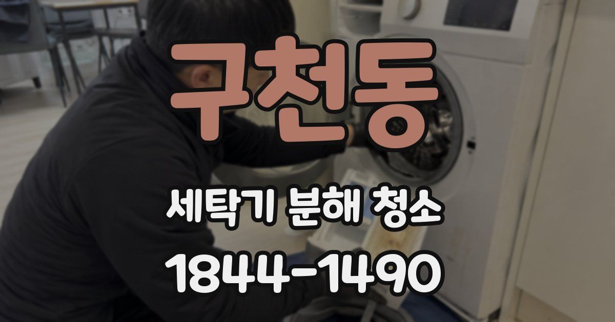 구천동 세탁기 분해 청소