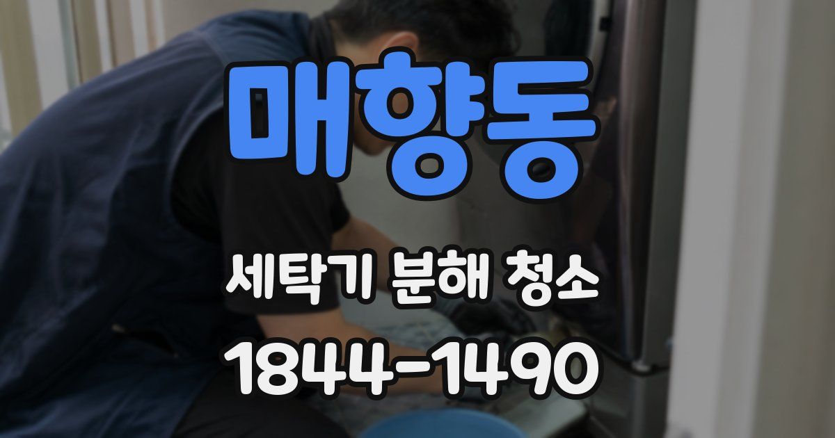 매향동 세탁기 분해 청소