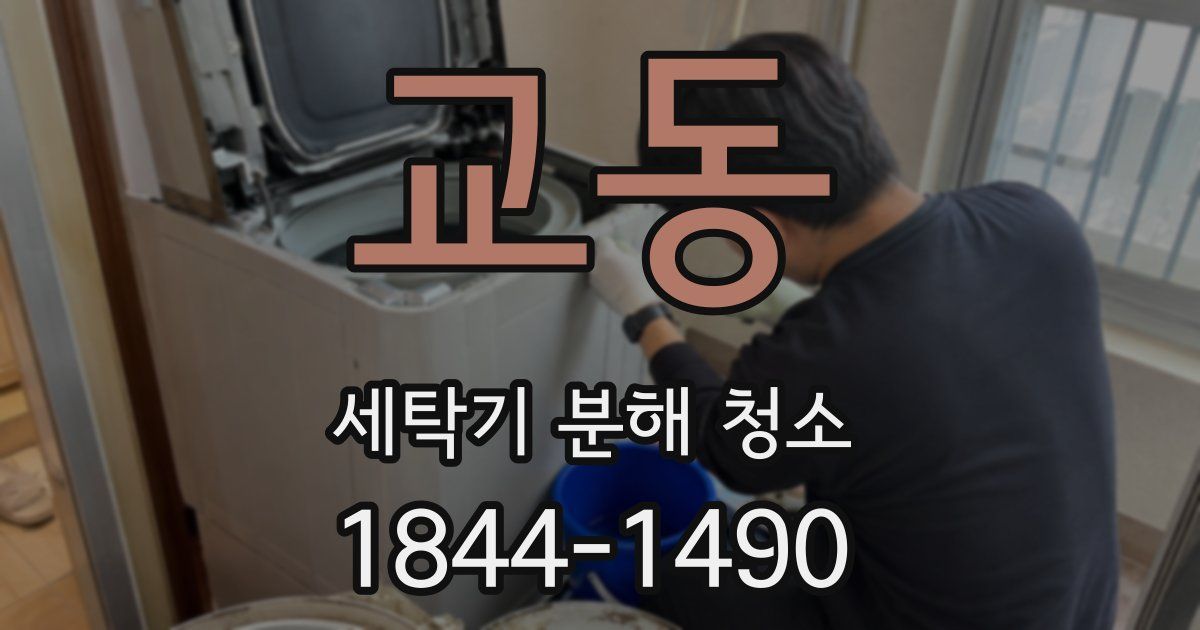 교동 세탁기 분해 청소