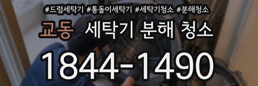 교동 세탁기 분해 청소