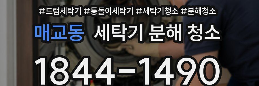 매교동 세탁기 분해 청소