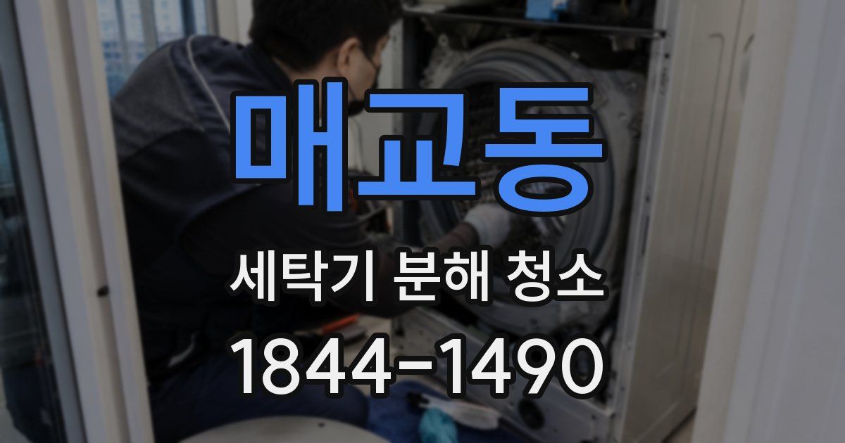 매교동 세탁기 분해 청소