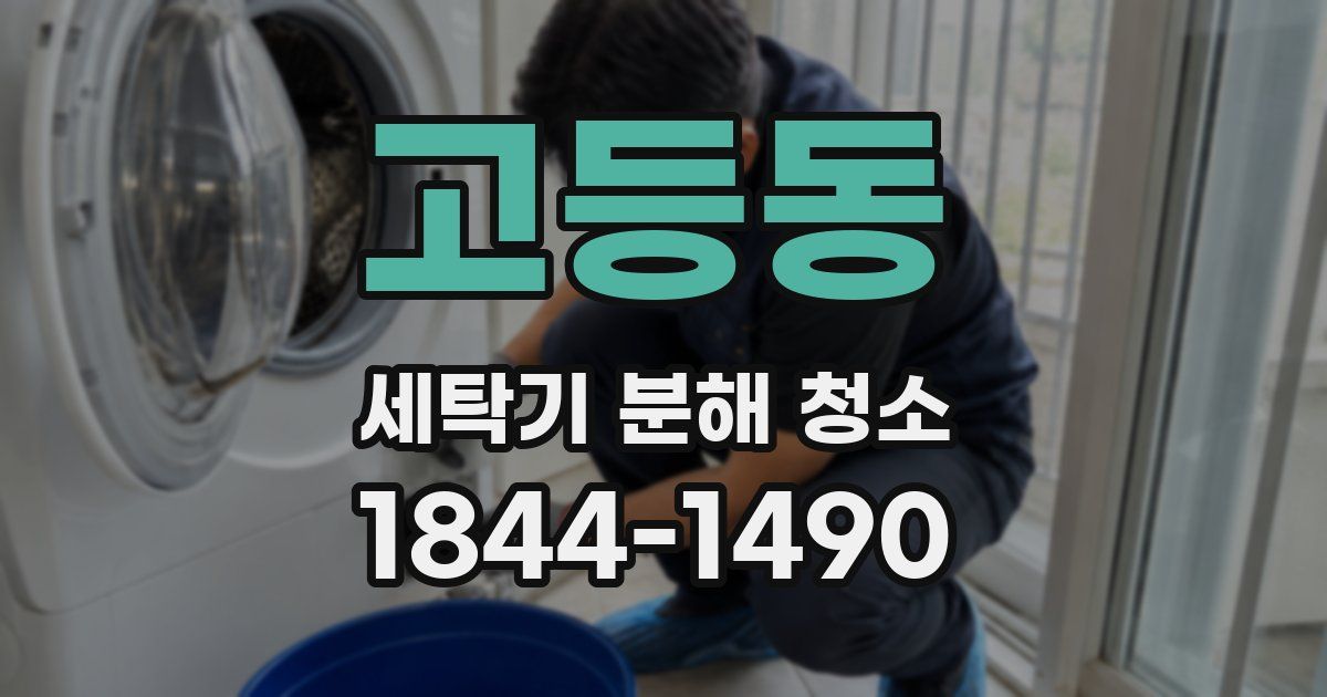 고등동 세탁기 분해 청소