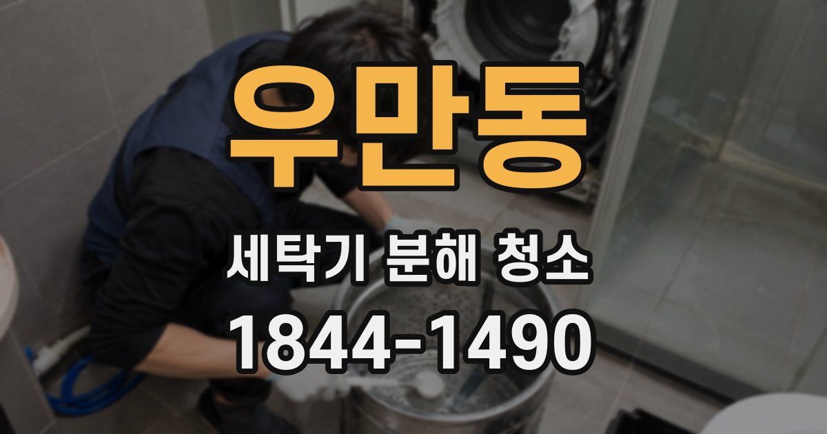 우만동 세탁기 분해 청소