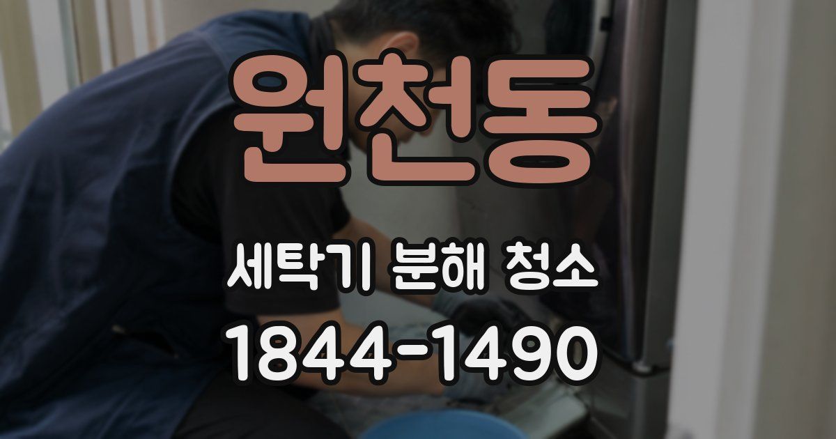 원천동 세탁기 분해 청소