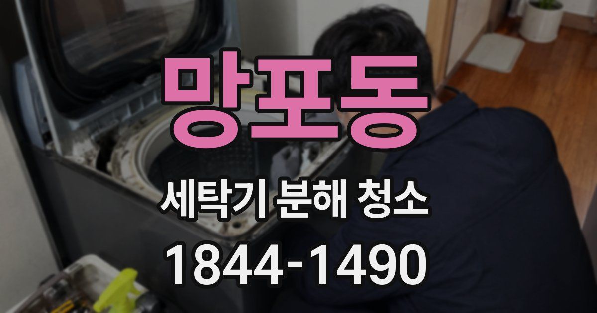 망포동 세탁기 분해 청소
