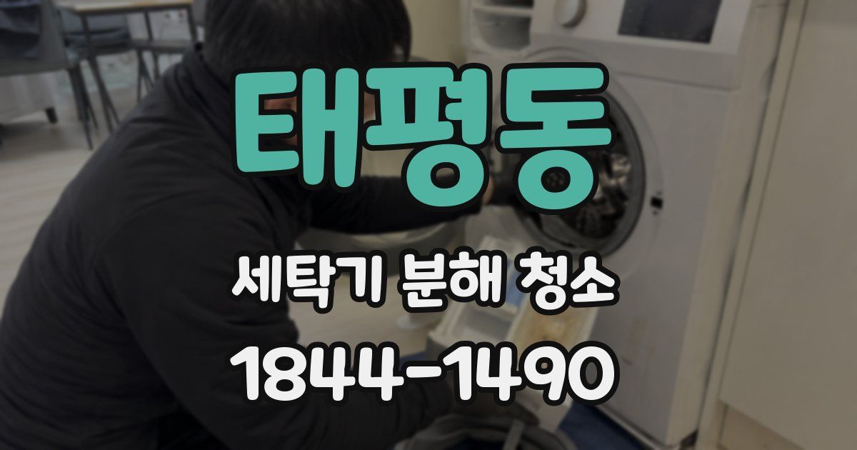 태평동 세탁기 분해 청소