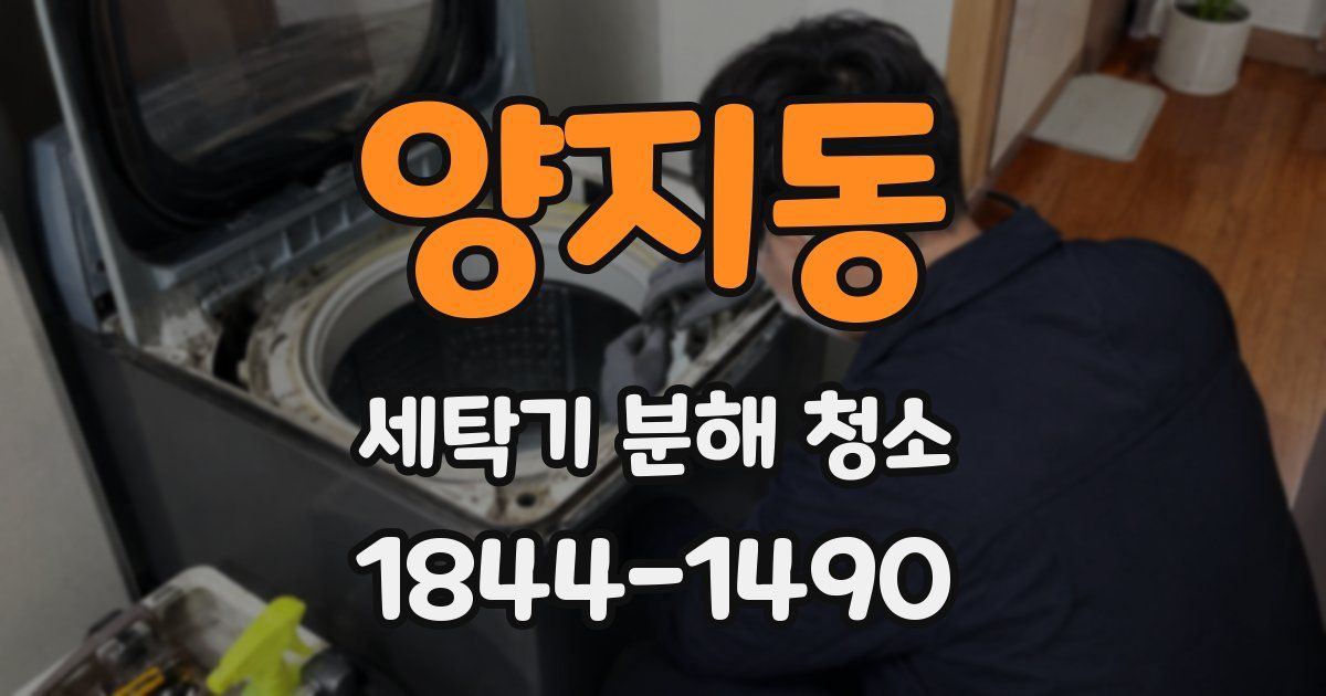 양지동 세탁기 분해 청소