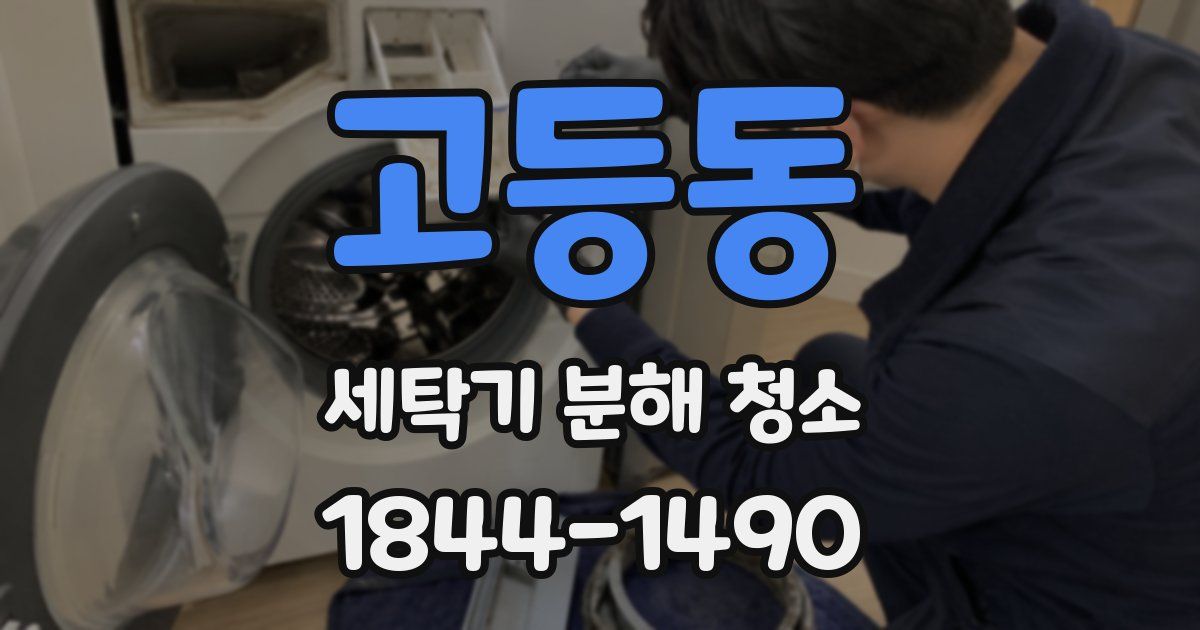 고등동 세탁기 분해 청소