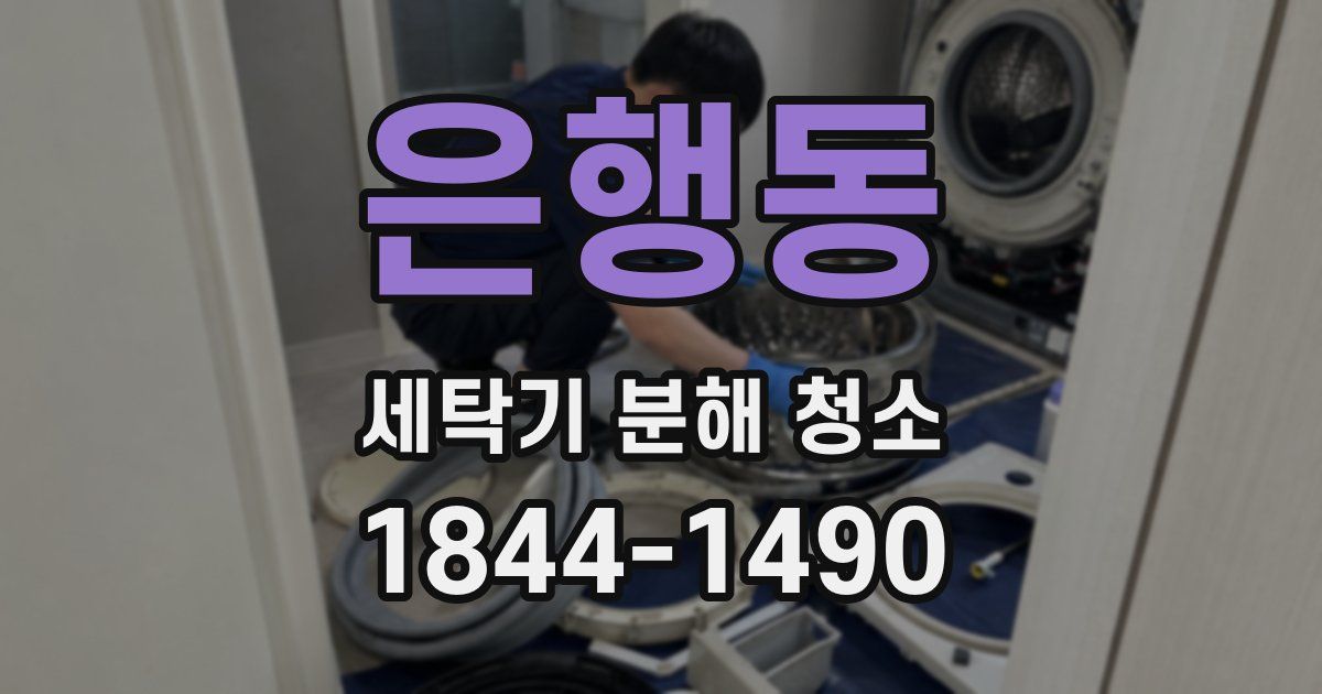 은행동 세탁기 분해 청소