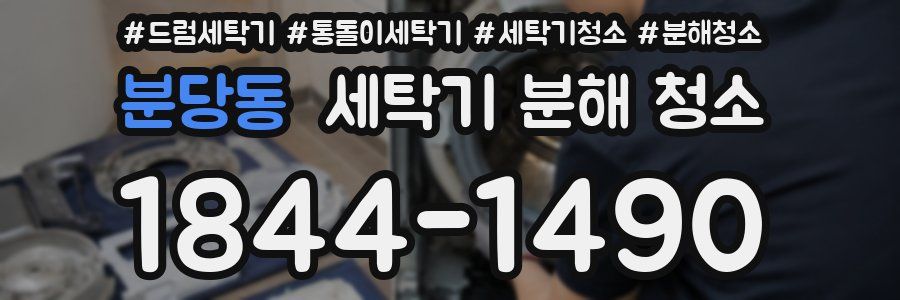분당동 세탁기 분해 청소