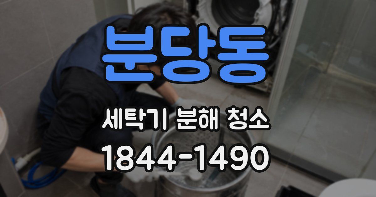 분당동 세탁기 분해 청소