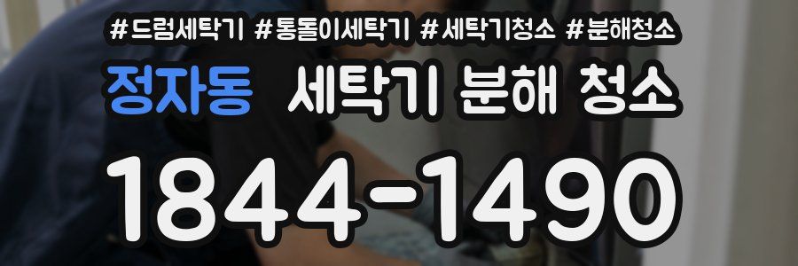 정자동 세탁기 분해 청소
