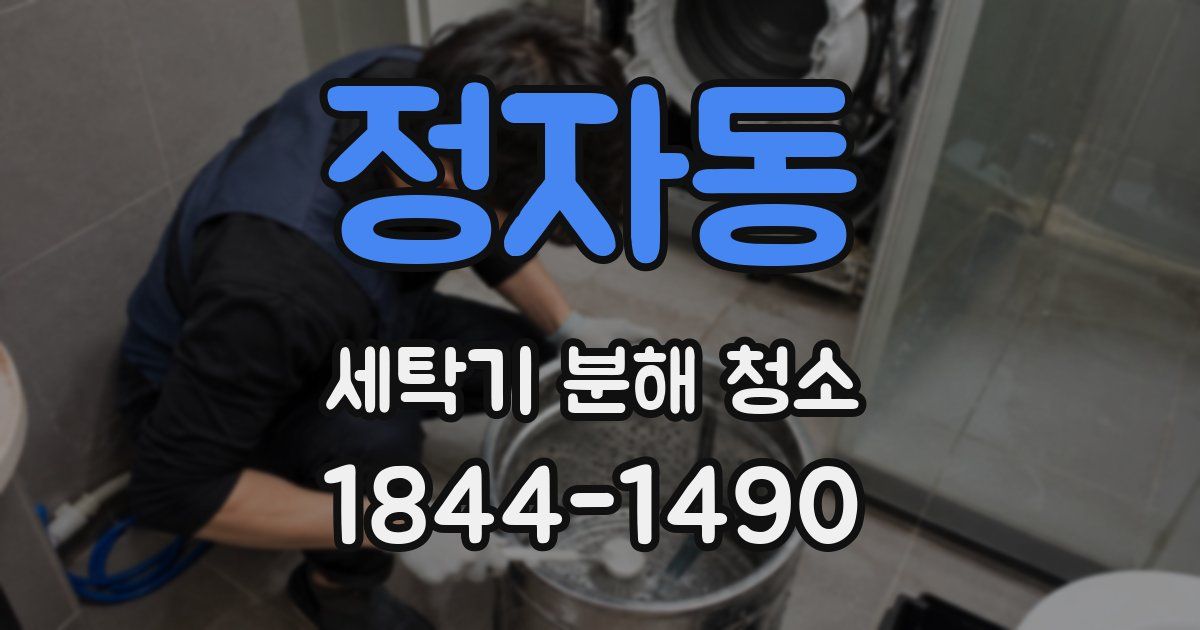 정자동 세탁기 분해 청소