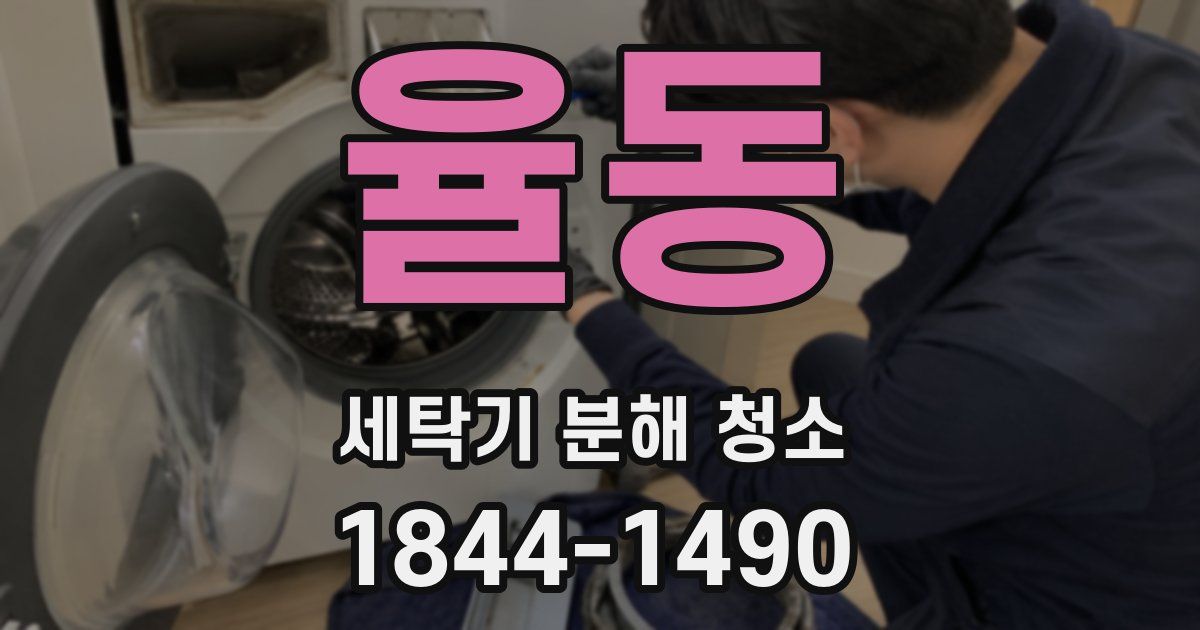 율동 세탁기 분해 청소