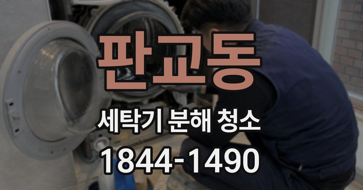 판교동 세탁기 분해 청소