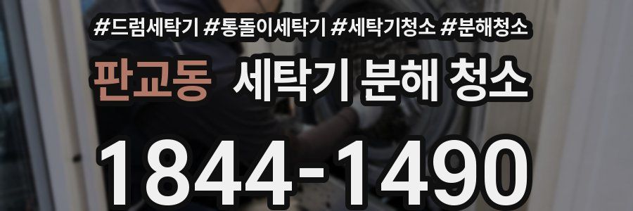 판교동 세탁기 분해 청소