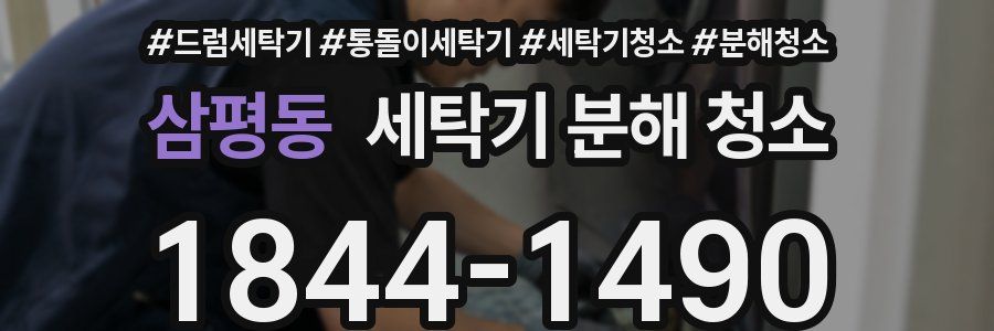 삼평동 세탁기 분해 청소