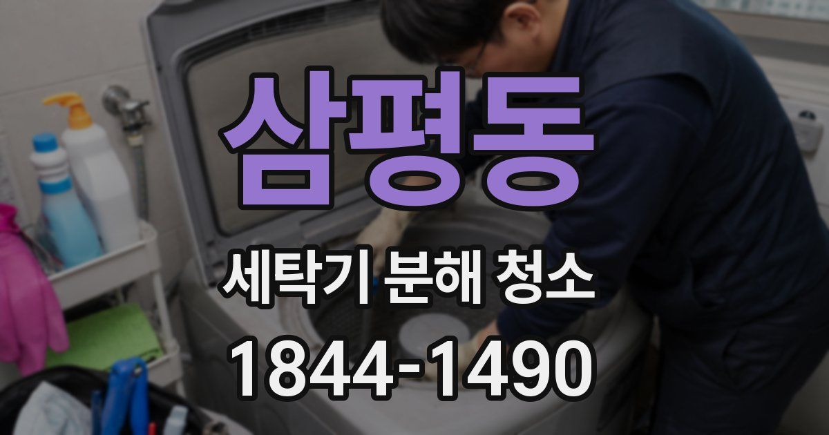 삼평동 세탁기 분해 청소