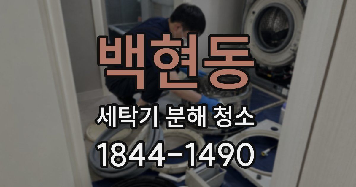 백현동 세탁기 분해 청소