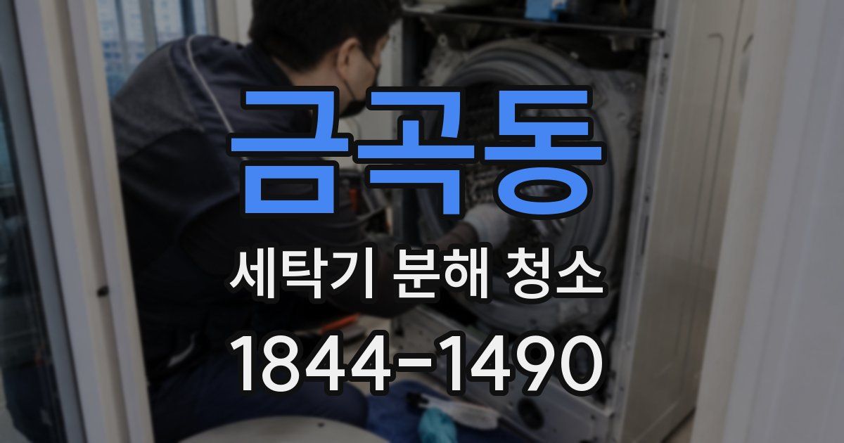 금곡동 세탁기 분해 청소