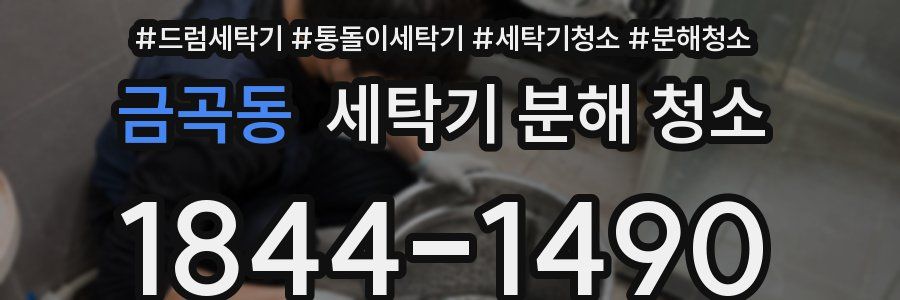 금곡동 세탁기 분해 청소