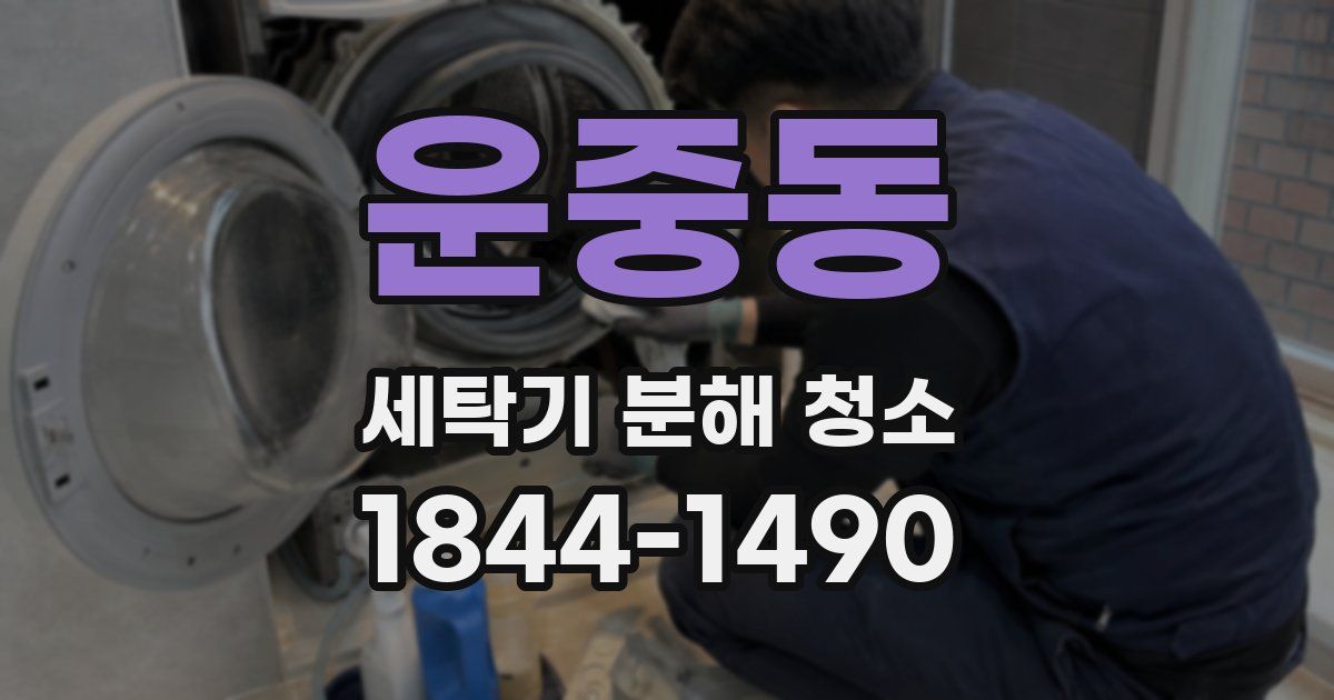 운중동 세탁기 분해 청소