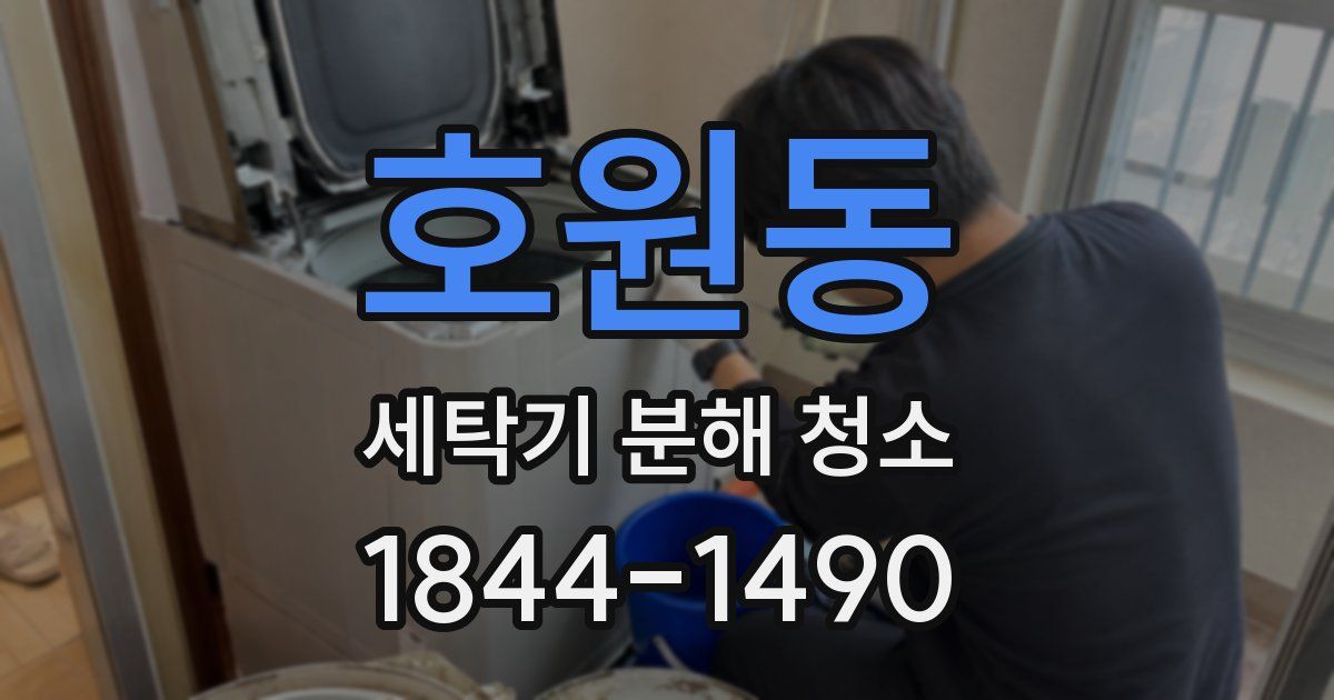 호원동 세탁기 분해 청소