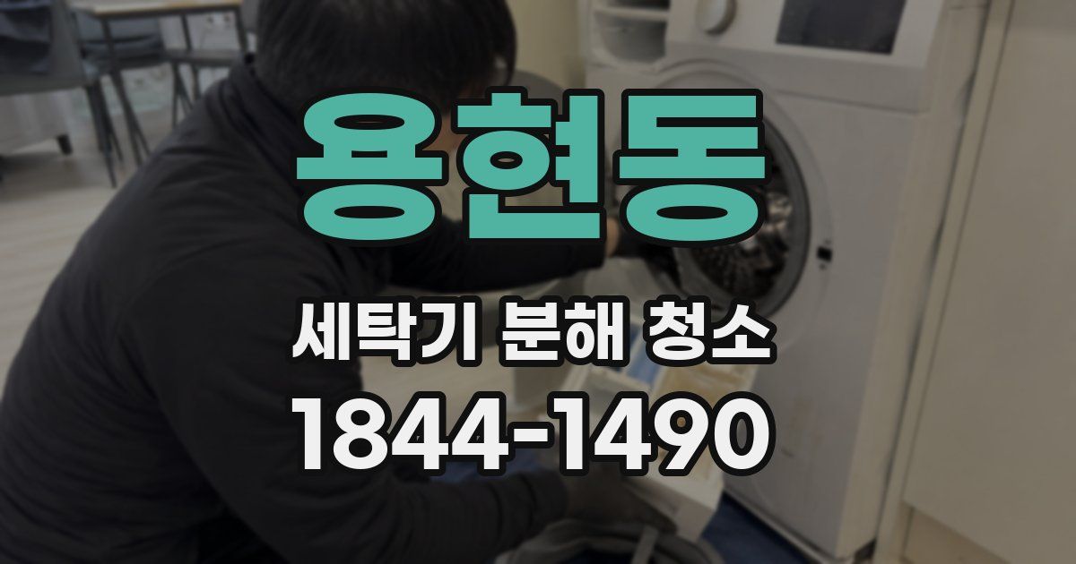 용현동 세탁기 분해 청소