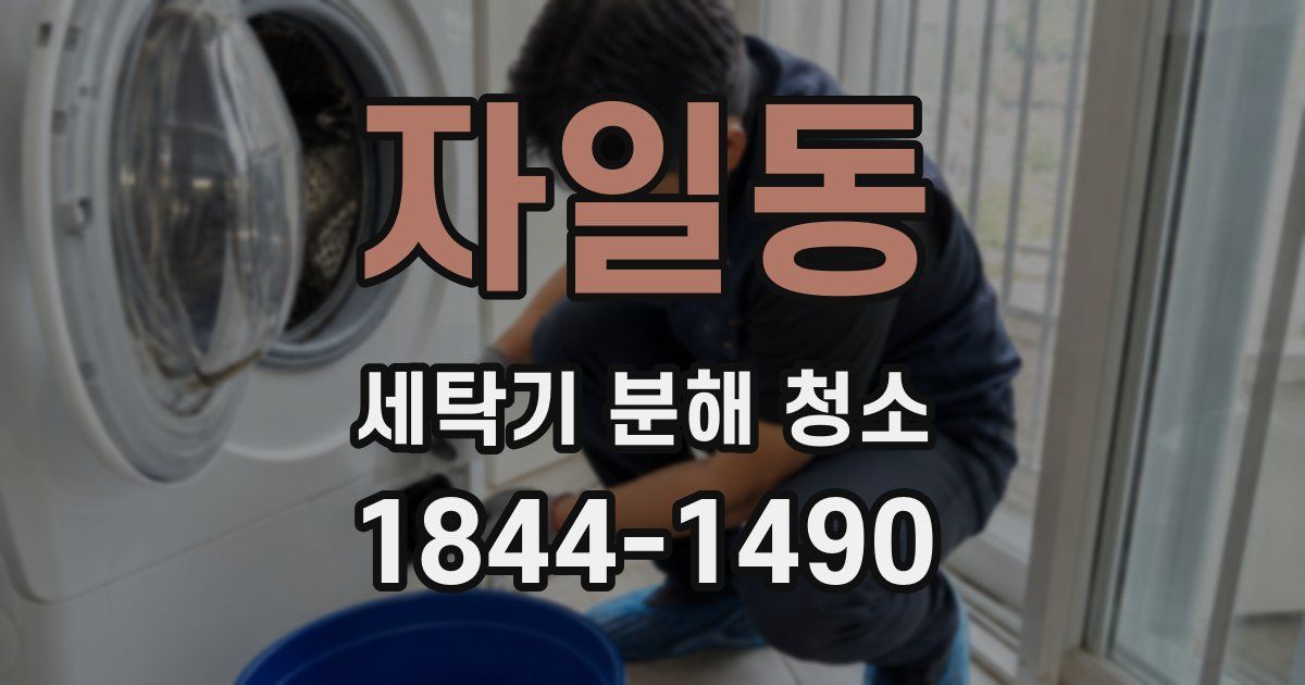 자일동 세탁기 분해 청소