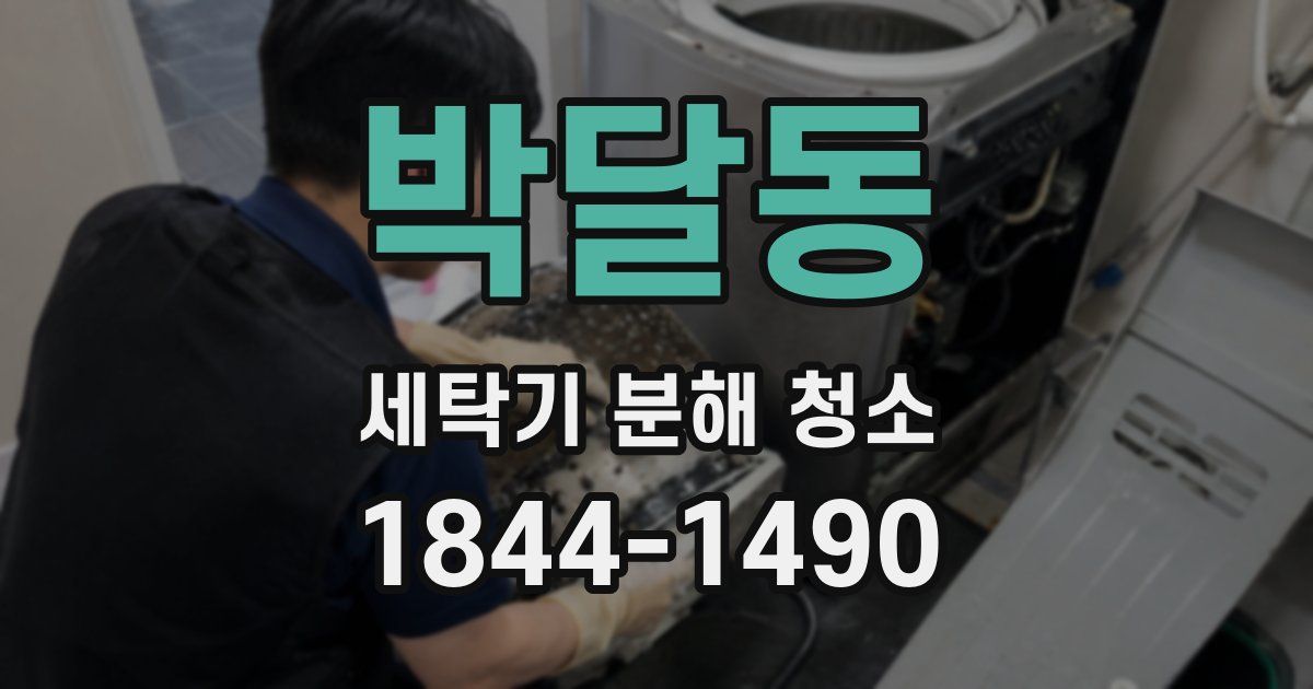 박달동 세탁기 분해 청소
