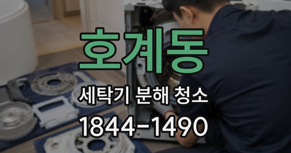 호계동 세탁기 분해 청소