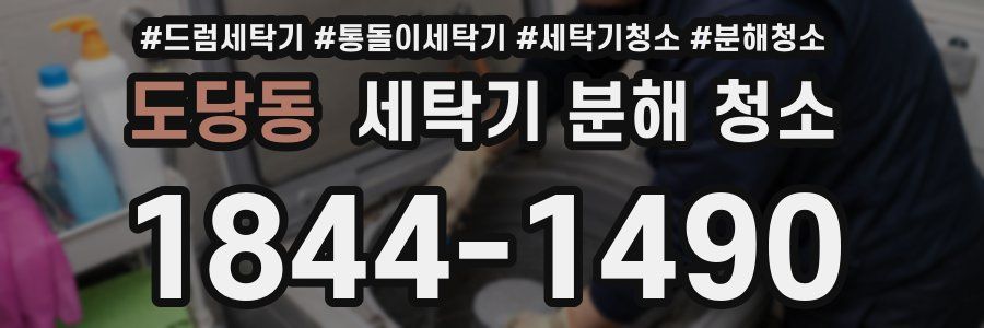 도당동 세탁기 분해 청소