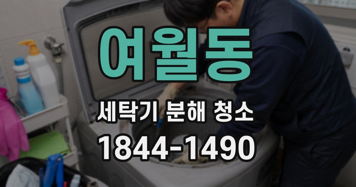 여월동 세탁기 분해 청소